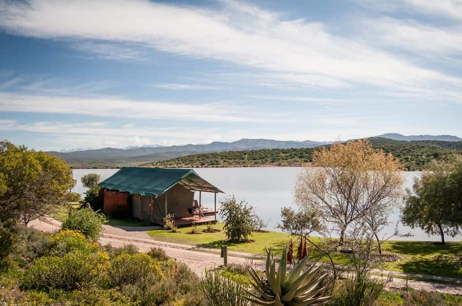 Cape Town: 2-Day Wildlife Tour with Safaris and Luxury Stay - Optional elephant observation in Cango Valley: close views at extra cost