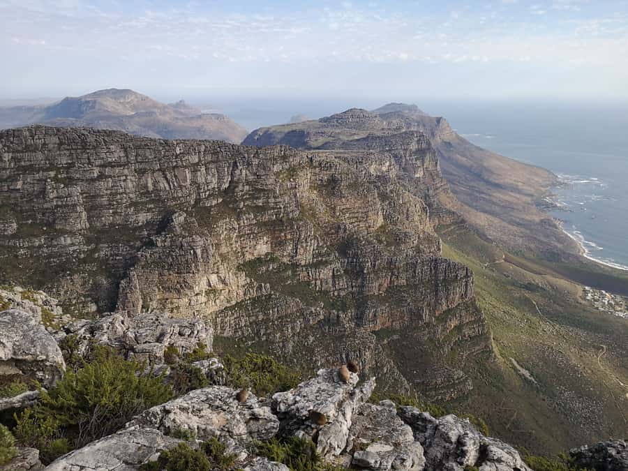 Cape Town: 3-Hour Table Mountain Hike via Platteklip Gorge - Summit time and the café stop, your reward break