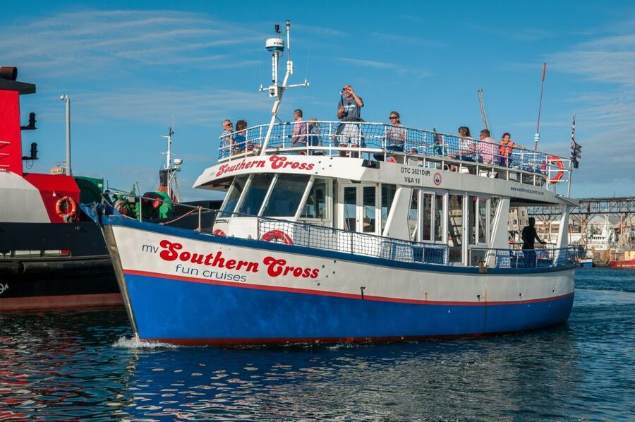 Cape Town: 30 Minute Harbour Boat Cruise with Seal Watching - The harbor loop: why Victoria and Alfred Waterfront matters for more than views