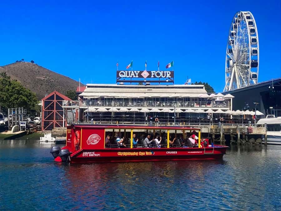 Cape Town: 30 Minute Seal-Watching Harbour Cruise - Key Points Before You Go