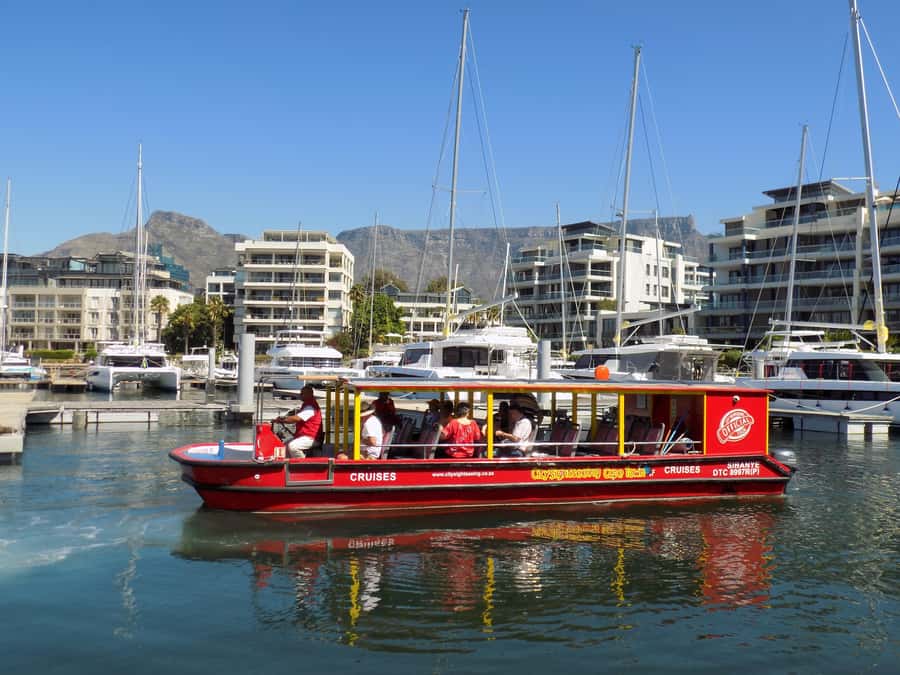 Cape Town: 30 Minute Seal-Watching Harbour Cruise - From Two Oceans Aquarium to the Harbour, a Simple 30-Minute Plan