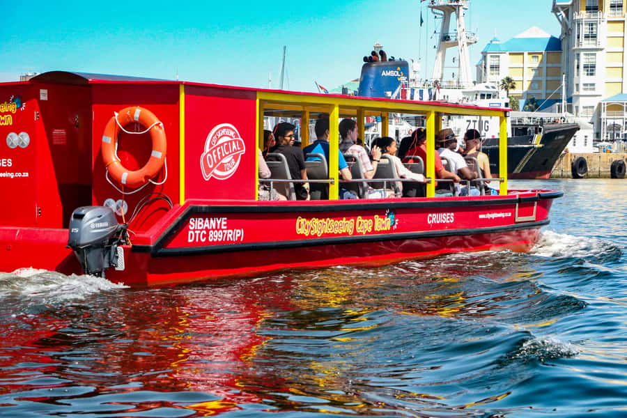 Cape Town: 30 Minute Seal-Watching Harbour Cruise - Safety, Staff Helpfulness, and How to Have a Smooth Boarding
