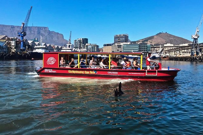 Cape Town 30-minute V&A Harbour Cruise - Entering The V&A Waterfront Loop (Without Losing Your Whole Day)