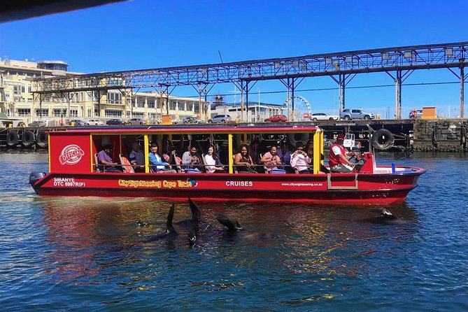 Cape Town 30-minute V&A Harbour Cruise - Wildlife Moments: Seals, Sea Life, and That Familiar Feeling of Surprise