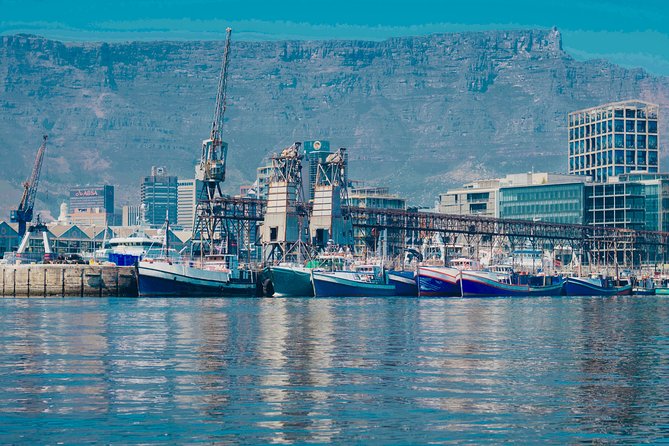 Cape Town 30-minute V&A Harbour Cruise - Live Guide Narration Through Headsets (So You Actually Hear It)