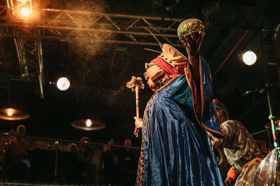 Cape Town: African Dinner, Drumming Experience with Transfer - Inside the Drumming Circle, From Basic Beats to Audience Participation
