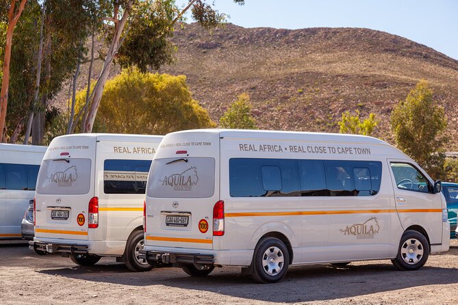 Cape Town Aquila Afternoon Safari with transport and lunch - From Cape Town pickup to Aquila Private Game Reserve