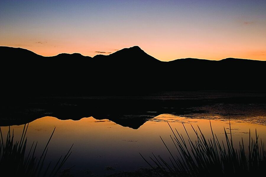 Cape Town: Aquila Game Reserve Day Entrance & Game Drive - Key things to know before you go