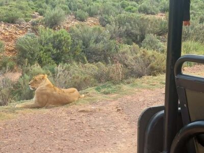 Aquila Game Reserve Sunset Game Drive