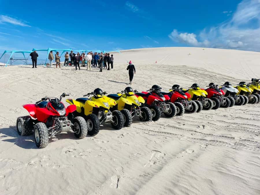 Cape Town: Atlantis Dunes Quad Bike & Free Sandboarding Tour - Key highlights before you go