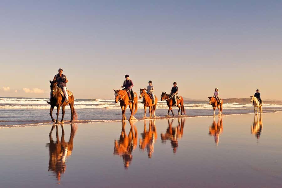 Cape Town: Beach Horse Ride with Hotel Pickup & Drop-off - Key things to know before you go