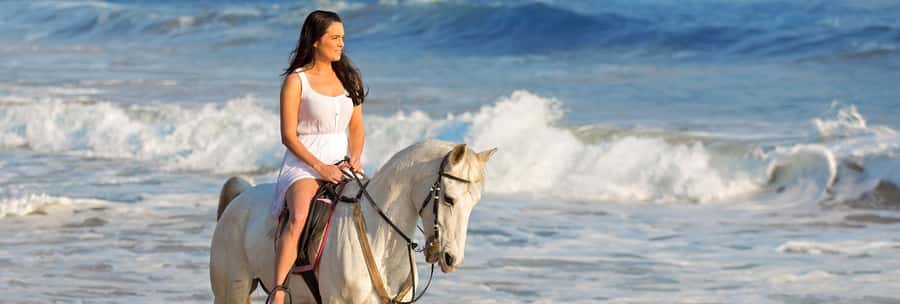 Cape Town: Beach Horse Ride with Hotel Pickup & Drop-off - The beach ride itself: safety briefing, tack, then 1 hour by the Atlantic