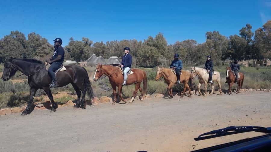 Cape Town big five safari with transport lunch Excl park fee - Lunch buffet plus unlimited pool time, a real break not a rushed stop