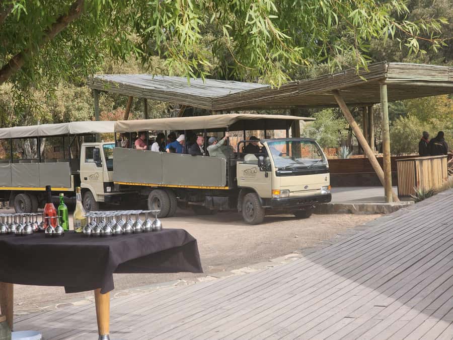 Cape Town big five safari with transport lunch Excl park fee - Where the day can fall short, and how to manage expectations