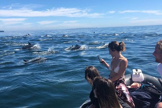 Cape Town Boat Trip - Why this Granger Bay boat route is worth your morning