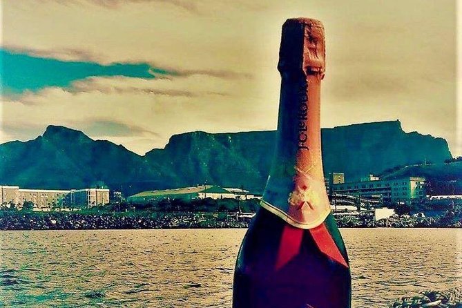 Cape Town Boat Trip - The Twelve Apostles and the Atlantic spine: your camera moment