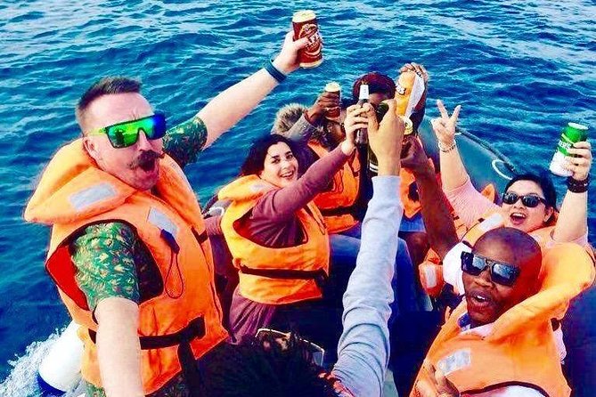 Cape Town Boat Trip - Wildlife spotting along Mouille Point, Sea Point, and Bantry Bay