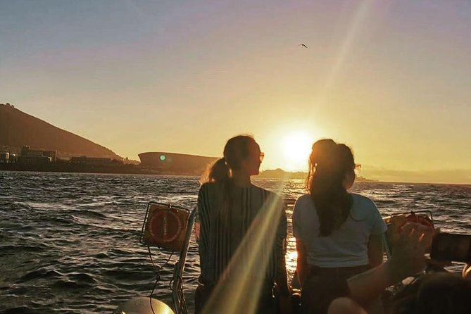 Cape Town Boat Trip - Value check: is $31.33 for about an hour a fair deal?