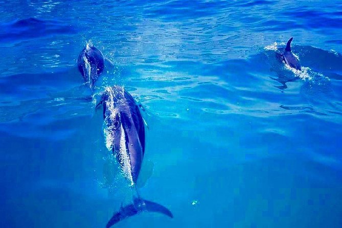 Cape Town Boat Trip - Clifton Beaches and Camps Bay: where you slow down enough to enjoy it