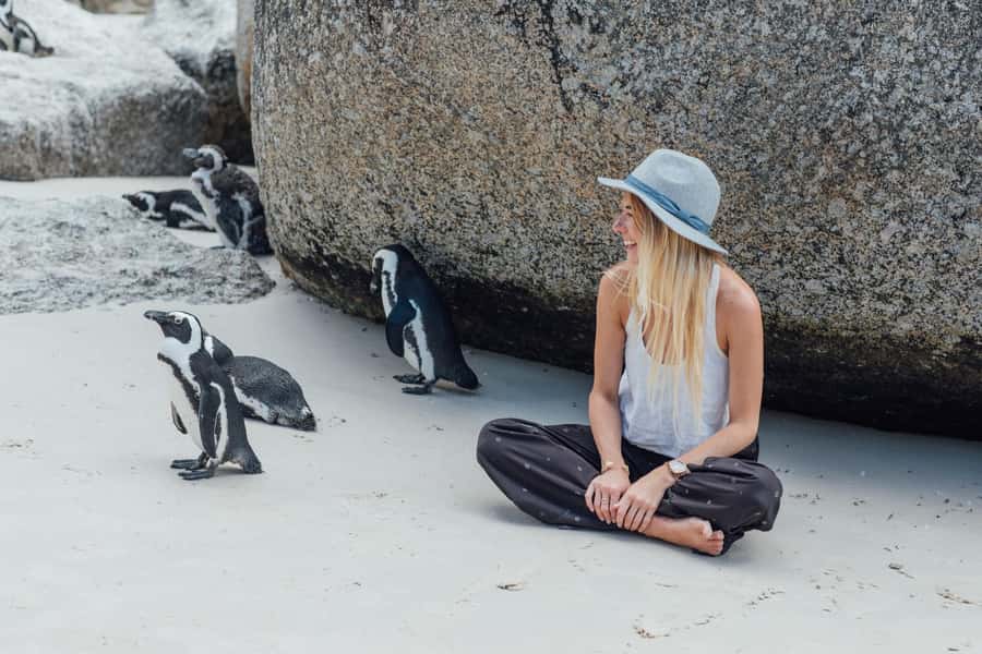 Cape Town: Boulders Penguin Colony Prebooked Entry Ticket - What You’ll See: African Penguins Doing Penguin Things