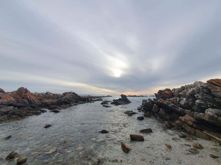 Cape Town: Cape Aghullas Van Tour with Hotel Pickup - Key Points at a Glance