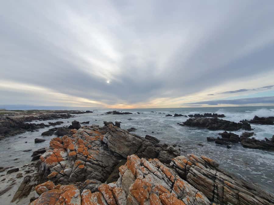 Cape Town: Cape Aghullas Van Tour with Hotel Pickup - Why Cape Agulhas Feels Like the Real Southern Edge