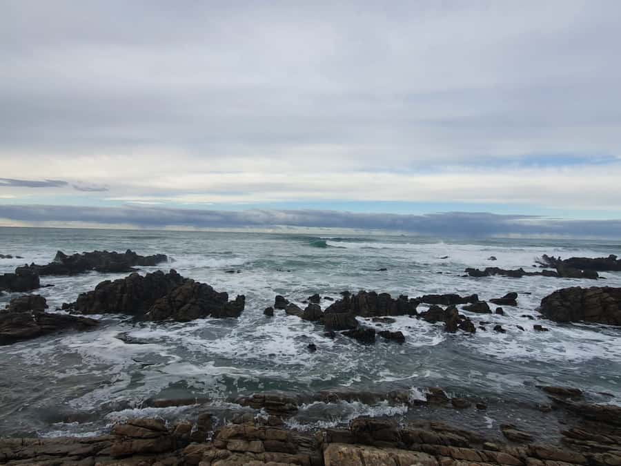 Cape Town: Cape Aghullas Van Tour with Hotel Pickup - Steenbras Dam and Elgin Valley’s Appletizer Connection