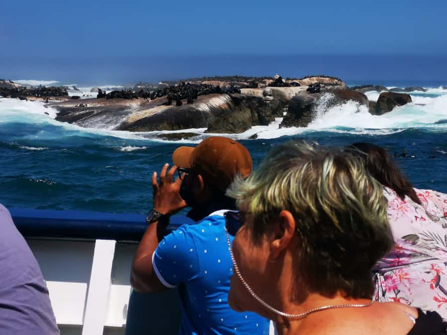 Cape Town: CAPE OF GOOD HOPE AND PENGUINS PRIVATE FULL DAY. - Camps Bay for seaside atmosphere, then Hout Bay’s working harbor vibe