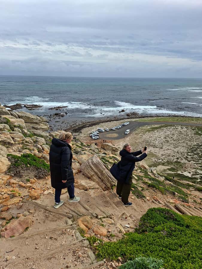 Cape Town: CAPE OF GOOD HOPE AND PENGUINS PRIVATE FULL DAY. - Simon’s Town, Jackass penguins at Boulders Beach, and how the day ends