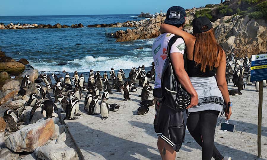 Cape Town: CAPE OF GOOD HOPE AND PENGUINS PRIVATE FULL DAY. - Bo-Kaap’s colorful streets, Malay Quarter roots, and the Nurul Islam Mosque