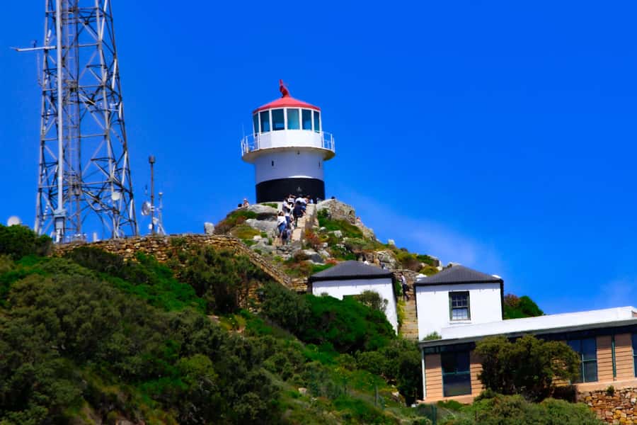 Cape Town: Cape of Good Hope & Boulders Beach Group Tour - A Cape Town Day That Actually Feels Like the Cape