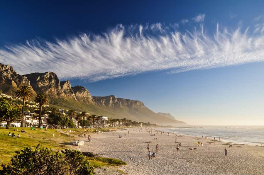 Cape Town: Cape of Good Hope & Boulders Beach Group Tour - Hout Bay and the Optional Seal Cruise