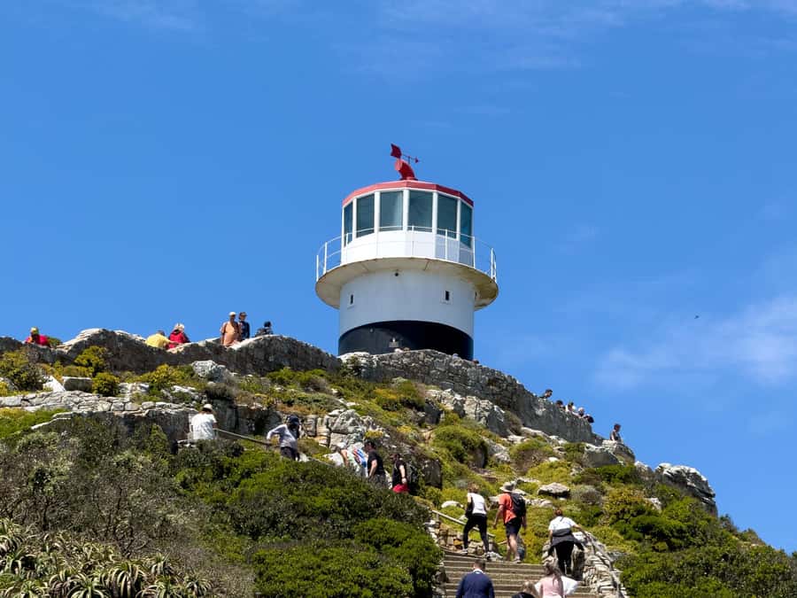 Cape Town: Cape of Good Hope & Penguin Colony Entry Ticket - Who This Ticket Fits Best