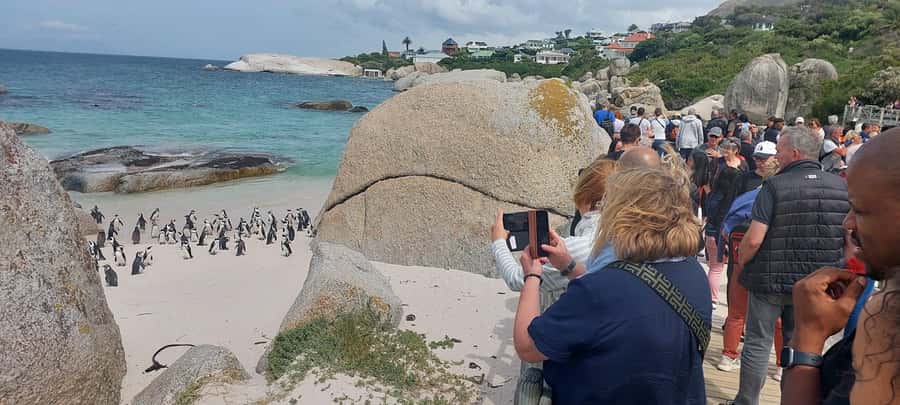 Cape Town: Cape of Good Hope, Penguins and Sightseeing Tour - Getting to the top: Table Mountain from the aerial cable car