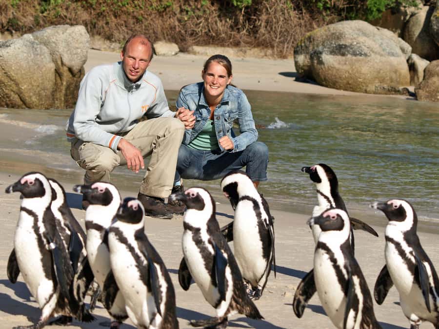 Cape Town: Cape of Good Hope & Penguins Day Tour with Pickup - The route makes sense, from neighborhoods to penguin beach