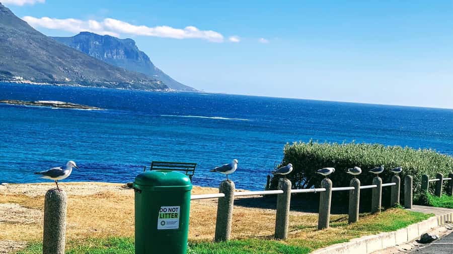 Cape Town: Cape of Good Hope & Penguins Full-Day Guided Tour - Key things I’d highlight before you go