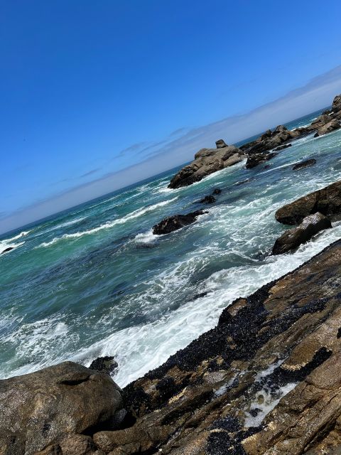 Cape Town: Cape of Good Hope & Penguins Full-Day Guided Tour - Noordhoek Farm Village coffee stop you can actually enjoy