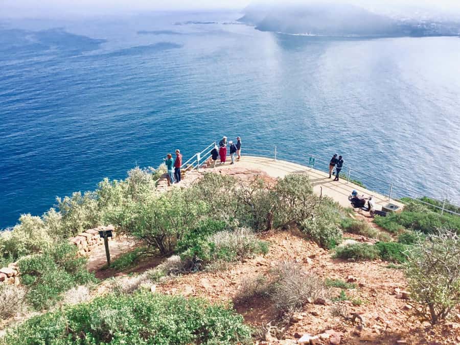 Cape Town: Cape of Good Hope & Penguins Full-Day Guided Tour - Penguins at Boulders Beach: close encounters with clear expectations