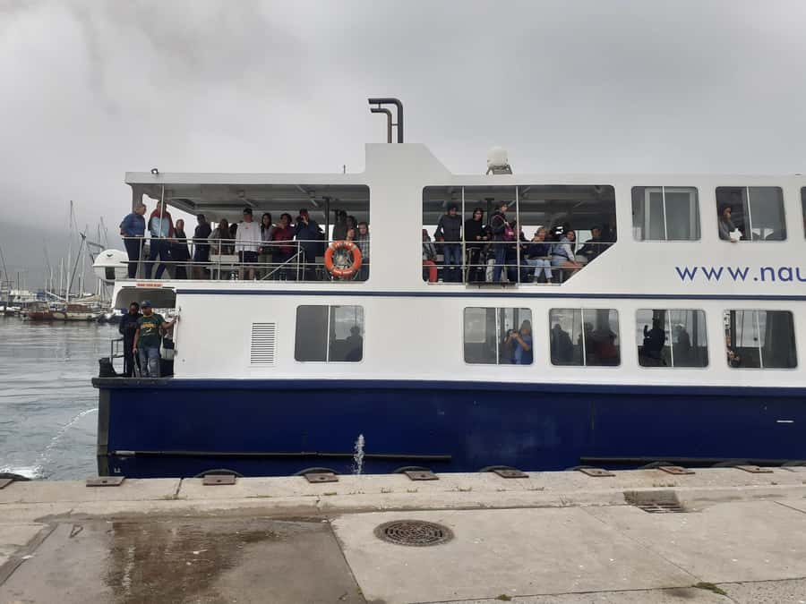 Cape Town: Cape of Good Hope, Penguins Instagram Group Tour - Getting around: hotel pickup, air-conditioned comfort, shared timing