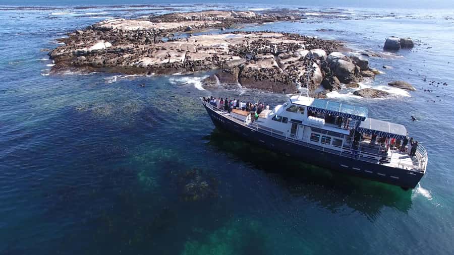 Cape Town: Cape of Good Hope, Seals and Penguins Day Tour - Key Points to Know Before You Go