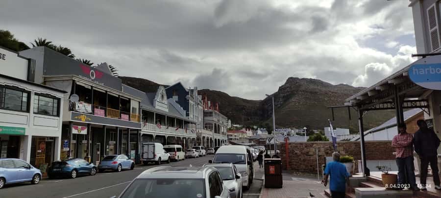 Cape Town: Cape of Good Hope, Seals and Penguins Day Tour - Hout Bay Seal Time: Duiker Island Ferry or Shore Viewing