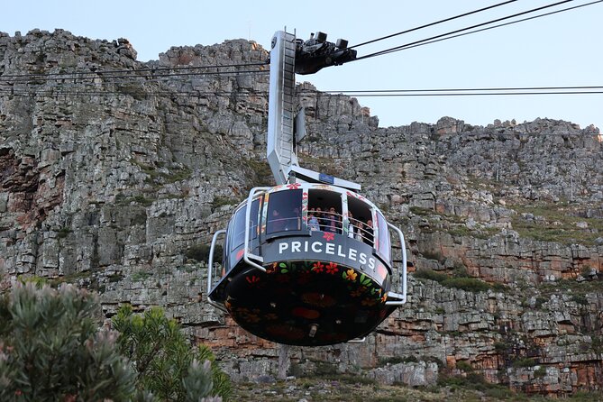 Cape Town: Cape of Good Hope, Table Mountain & Wine Tasting Tour - Boulders Beach penguin colony, the part you will remember