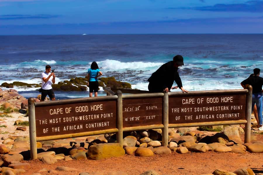 Cape Town: Cape Peninsula & Boulders Beach Shared Tour - A Shared Day That Hits Cape Town’s Best Coastal Wildlife Spots