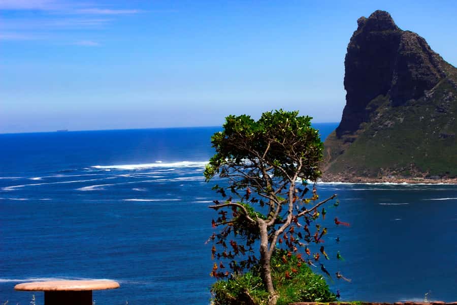 Cape Town: Cape Peninsula & Boulders Beach Shared Tour - Lunch in Simon’s Town: Old Colonial Buildings, Then Back on the Road