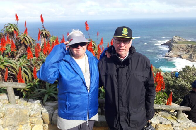 Cape Town: Cape Peninsula Half Day Private Tour - What the Guide Really Adds (Beyond Driving and Tickets)