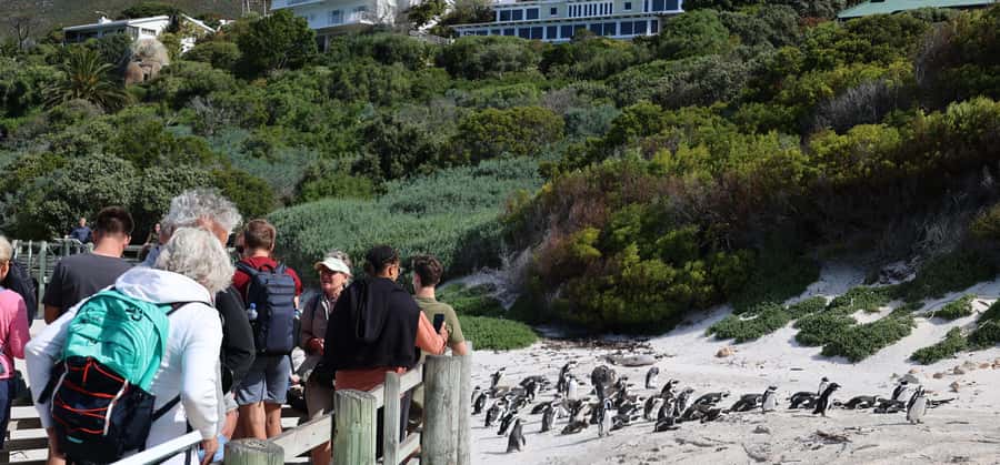 Cape Town: Cape Peninsula & Table Mountain Private Day Trip - The real value: a private route that hits the big three, without the headache