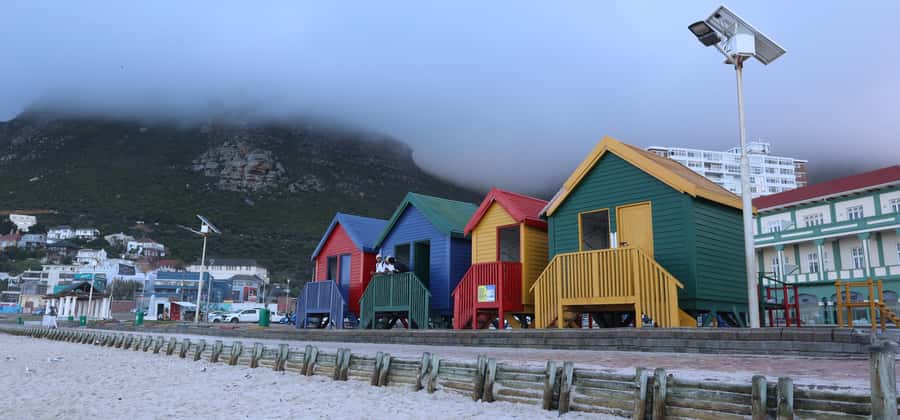 Cape Town: Cape Peninsula & Table Mountain Private Day Trip - Boulders Beach penguin colony: the stop that turns sightseeing into something real