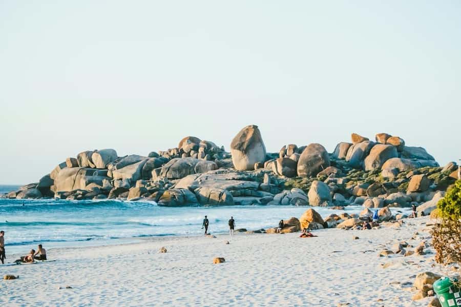 Cape Town: Cape Point and Penguin Colony Full Day Tour - Hout Bay and Seal Island: Seafood Vibes Plus the Optional Boat Trip