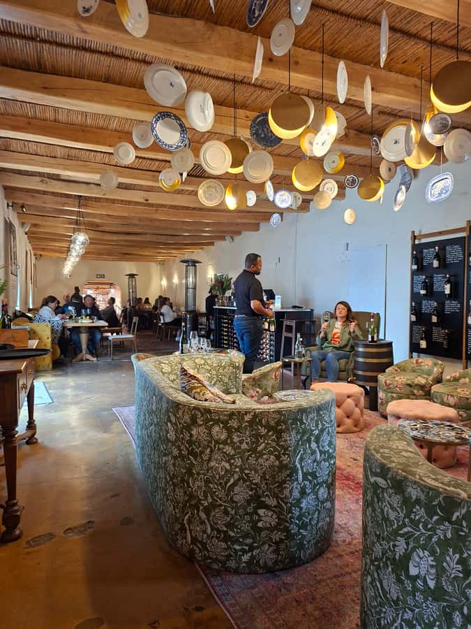 Cape Town: CHEETAH ENCOUNTER/WINE TESTING EXPERIENCE/LUNCH - The 5 things that make this tour worth your time