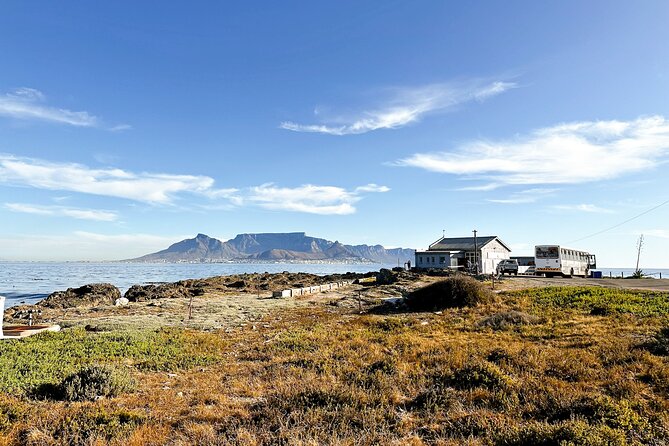 Cape Town City Highlights & Table Mountain Tour - Table Mountain National Park: Cable Car Return and the View Window